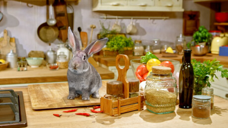 Poepmaaltijden en bijenkots